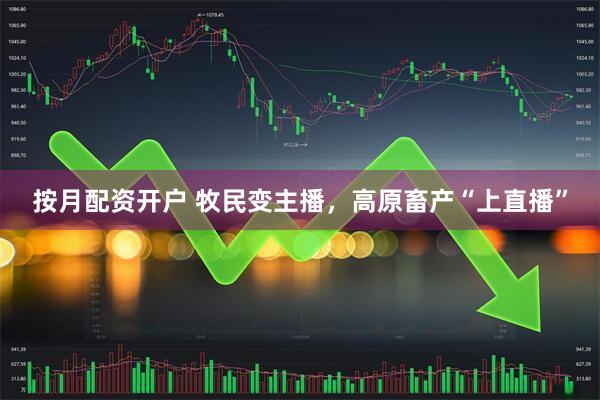 按月配资开户 牧民变主播，高原畜产“上直播”